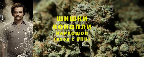 молекула духа Бикин