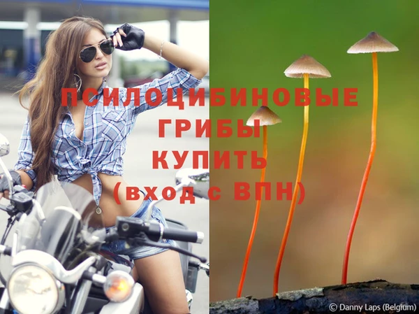 прущая мука Алексин
