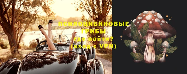 хмурый Абинск