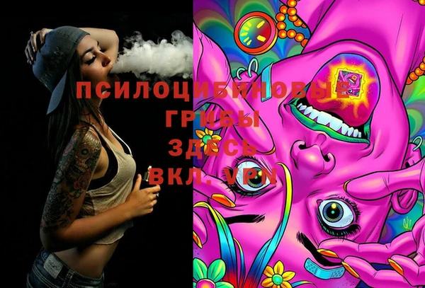 хмурый Абинск