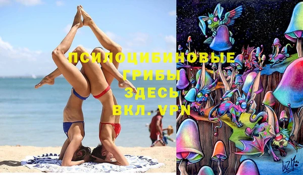 хмурый Абинск
