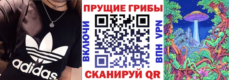 Галлюциногенные грибы GOLDEN TEACHER  Ахтырский 